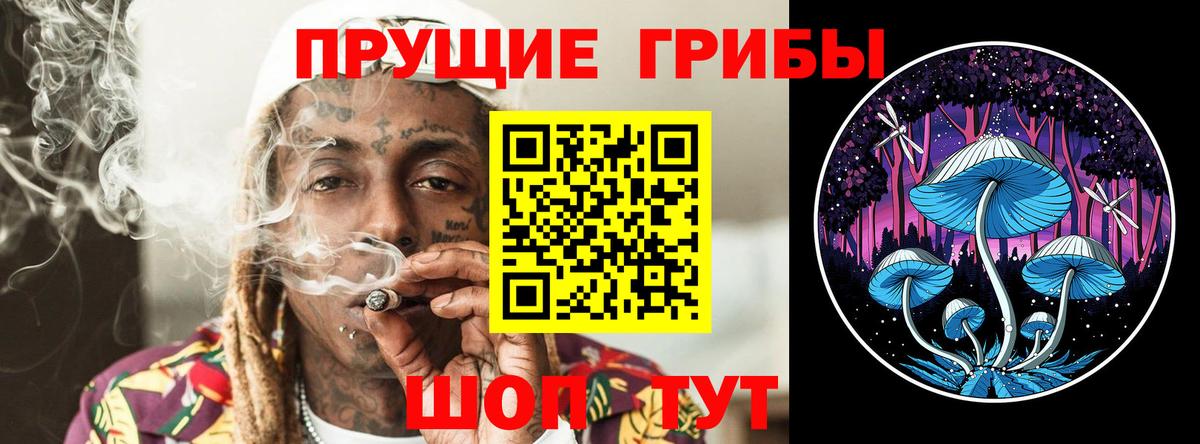 Пермь  Галлюциногенные грибы Psilocybine cubensis  Вход с VPN 