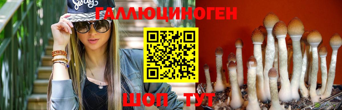 Галлюциногенные грибы мухоморы Пермь